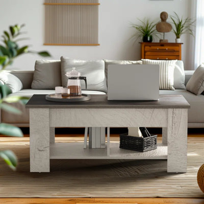 Rikiah Lift Top Extendable Coffee Table with 12cm Deep Storage