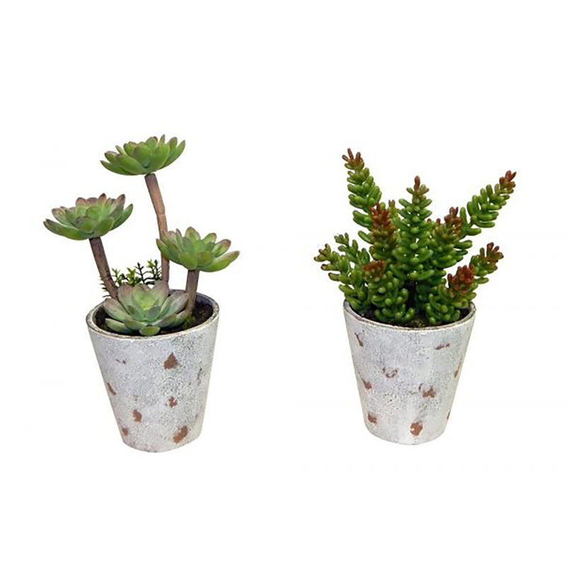 Silk Succulent Arrangement in Pot