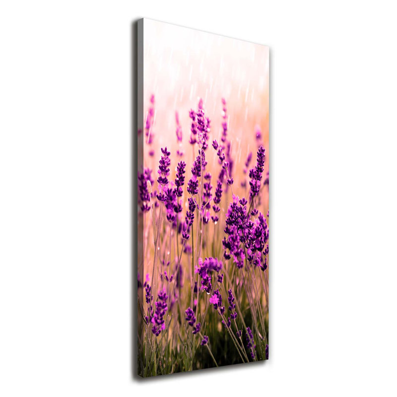Lavender Field - Wrapped Canvas Print