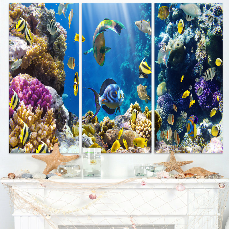 «Fish in Coral Reef», ensemble de 3 impressions sur toiles tendues