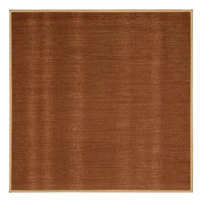 Machine Washable Solid Brown Area Rug