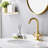 Centerset 2-handle Bathroom Faucet with Drain Assembly