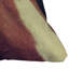 Coussin extérieur Allyson Johnson-123033397