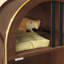 Enceinte de litière pour chat, lit pour chat 2-en-1, abri pour chat avec refuge confortable à deux niveaux pour 2 chats, maisonnette pour chat mignon pour dormir, maison et mobilier de chat de luxe