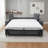 Bellinda Italian 81" Modern Stain and Abrasion Resistant Performance Fabric Queen Size Sleeper Square Arm Sofa Bed with Adjustable Headrests-59051726