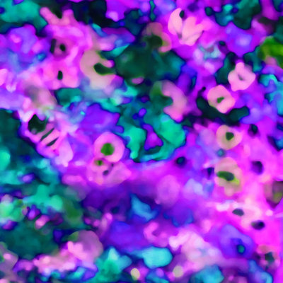 Chingford Amy Sia Daydreaming Floral - impression sur toile tendue