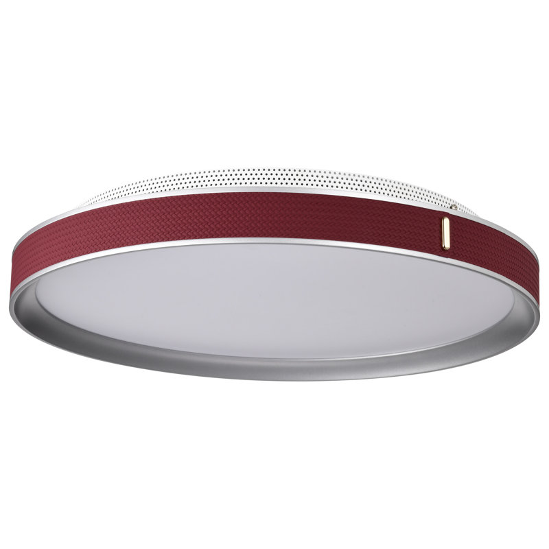 Bandon - 20 Inch LED Flush Mount - Acrylic Lens, Red