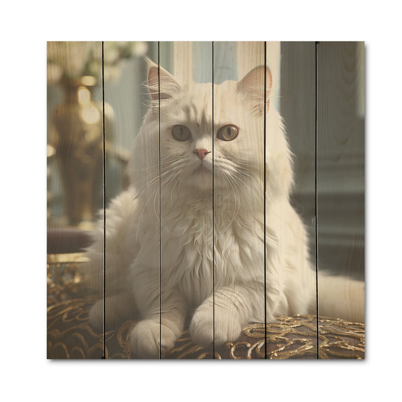 «Exotic Shorthair Elegance Cat», art mural en bois sur bois de pin naturel, H 25 po x l 25 po