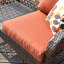 Nicasio 4 - Person Patio Conversation Set with Cushions-628373797-628373796