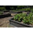 Raised Garden Bed