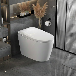 Smart Toilet with Heated Bidet Seat, Auto Open/Close, Built-In Bidet, Dryer & Warm Water Function
