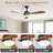 52-Inch Black Ceiling Fan With 3 ABS blades,Remote Control,Reversible DC Motor,Noiseless,3 Downrods Available,LED Dimmable-669301622-669301621