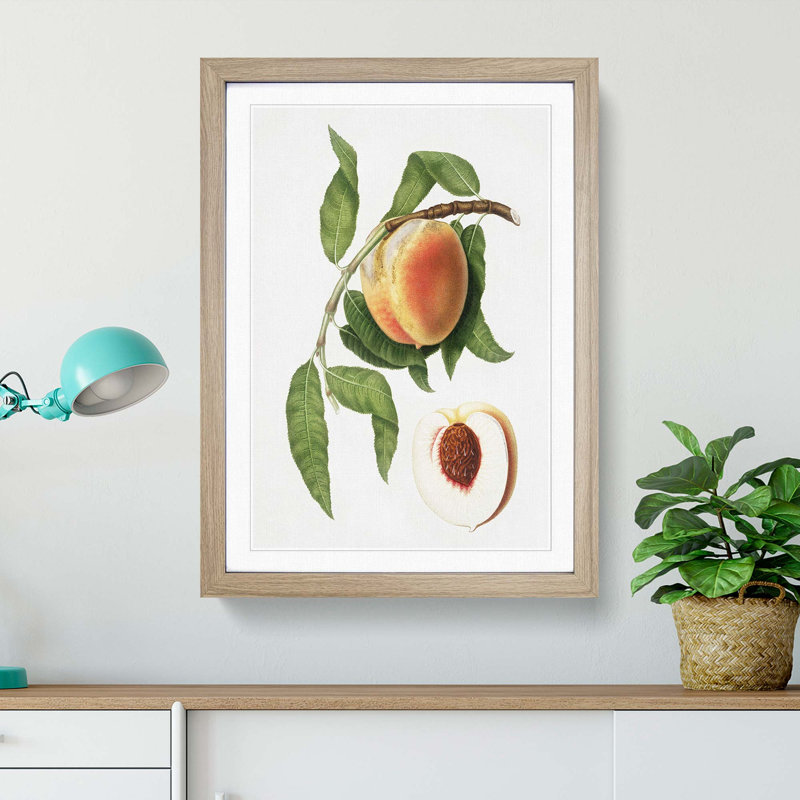 Juicy Peach Tree by Giorgio Gallesio - Picture Frame Graphic Art Print, Oak Framed, 48cm H x 36cm W x 2cm D