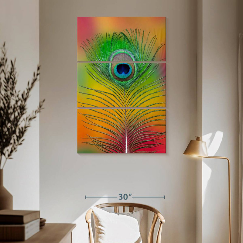 Plume de queue de paon mâle Kerner, H 65 po x l 42 po