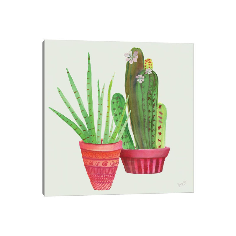Succulent Symphony IV by Marie Elaine Cusson - Wrapped Canvas Print, 30.48 cm H x 30.48 cm W