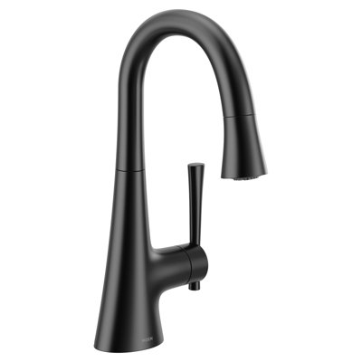 Kurv Single Handle Kitchen Faucet with Accessories