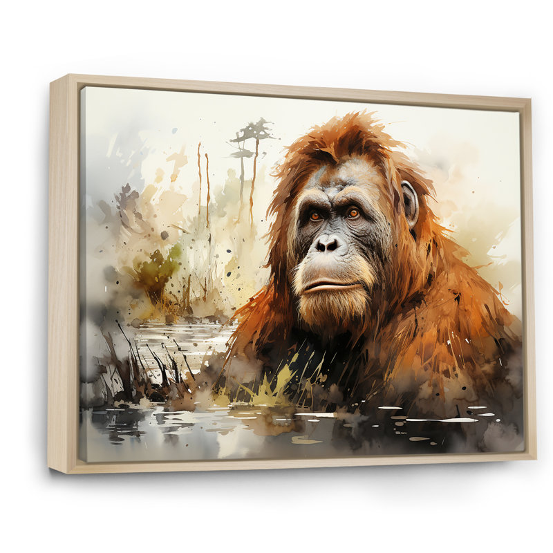 Orang-outan brun dans la forêt tropicale II sur toile, White Picture Framed, 16" H x 32" W