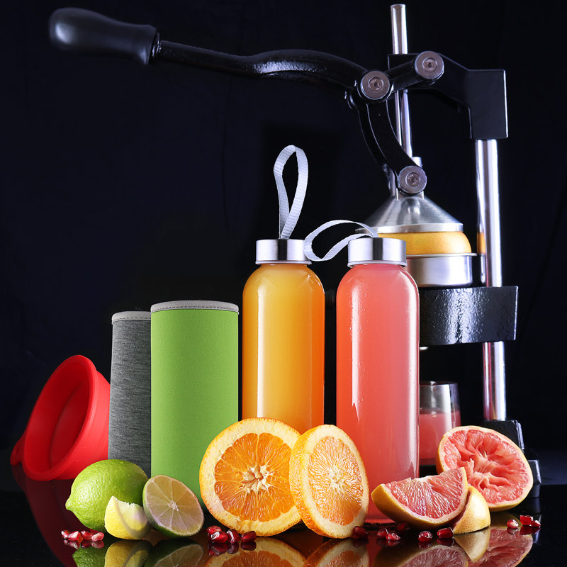 Presse-agrumes manuel 7 pièces JoyTable avec 2 bouteilles en verre, 3 manchons et entonnoir en silicone, gris