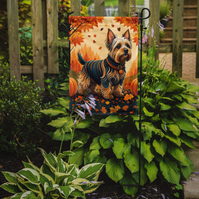 Drapeau de jardin double en polyester H 15,5 po x l 11,25 po