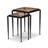 Damiana Glass Top Nesting Tables-1607310090