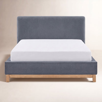 Modern Velvet Upholstered Platform Bed with Solid Wood Base and Panel Headboard