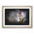 Oak Framed selected