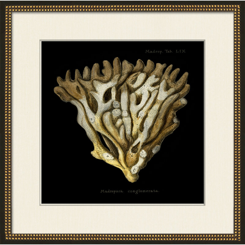 Sponge On Black I Painting