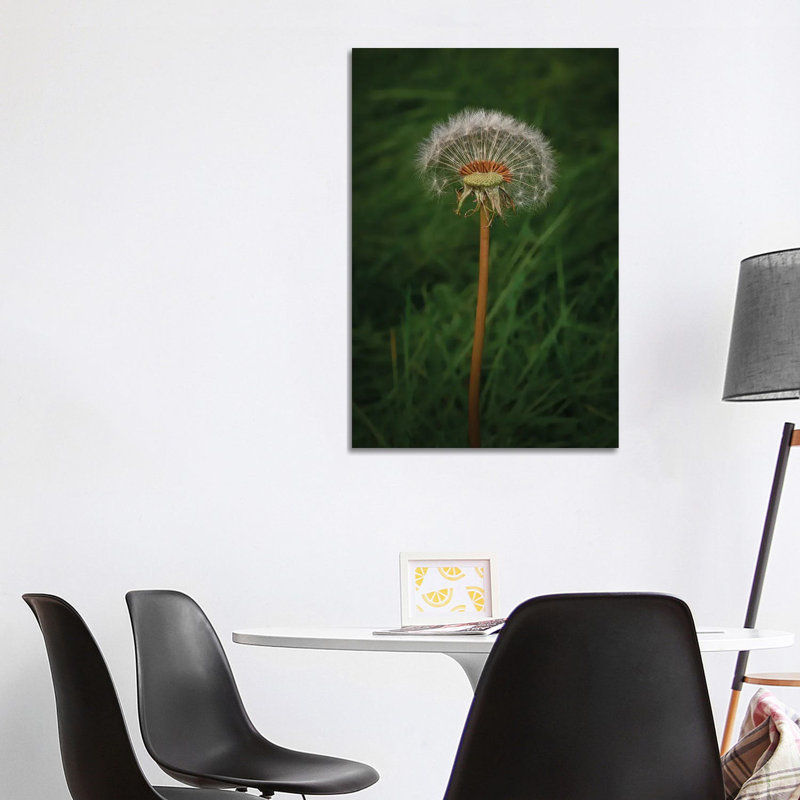 Its Sure A Dandi Lion by Louis Ruth - Wrapped Canvas Print, 101.6 cm H x 66.04 cm W x 3.175 cm D