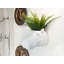 Wall Planter