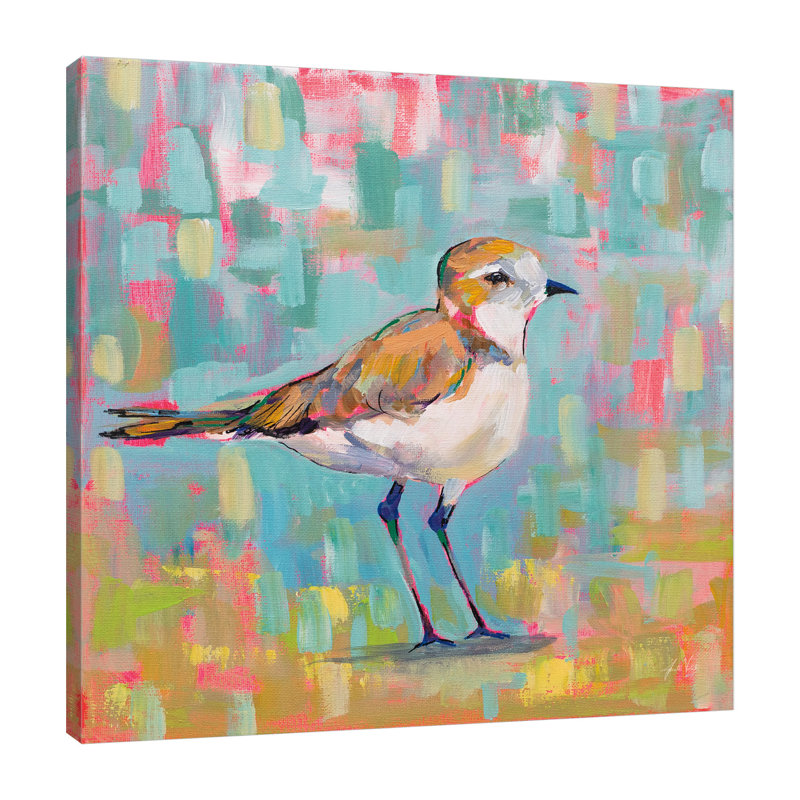 «Coastal Plover III» par Jeanette Vertentes - peinture sur toile tendue, H 30 po x l 30 po x P 1,5 po