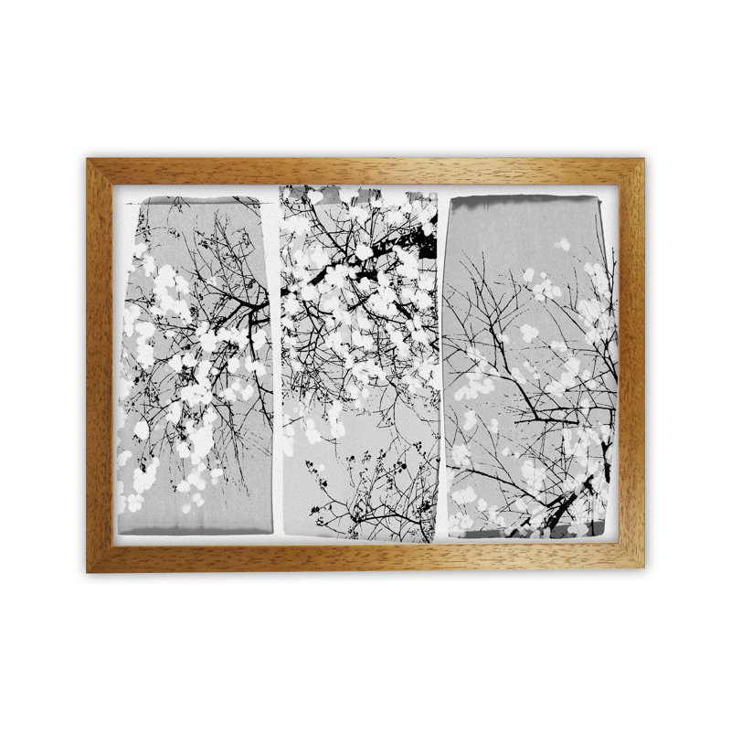Oriental Blossom by Orara - Print on Canvas, Oak Framed, 42cm H x 59.4cm W x 3cm D