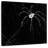 Brampt Halloween Spider-109210329