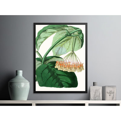 Amata 1 Piece Wall Art