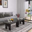 Ensemble de tables basses Modern Modern