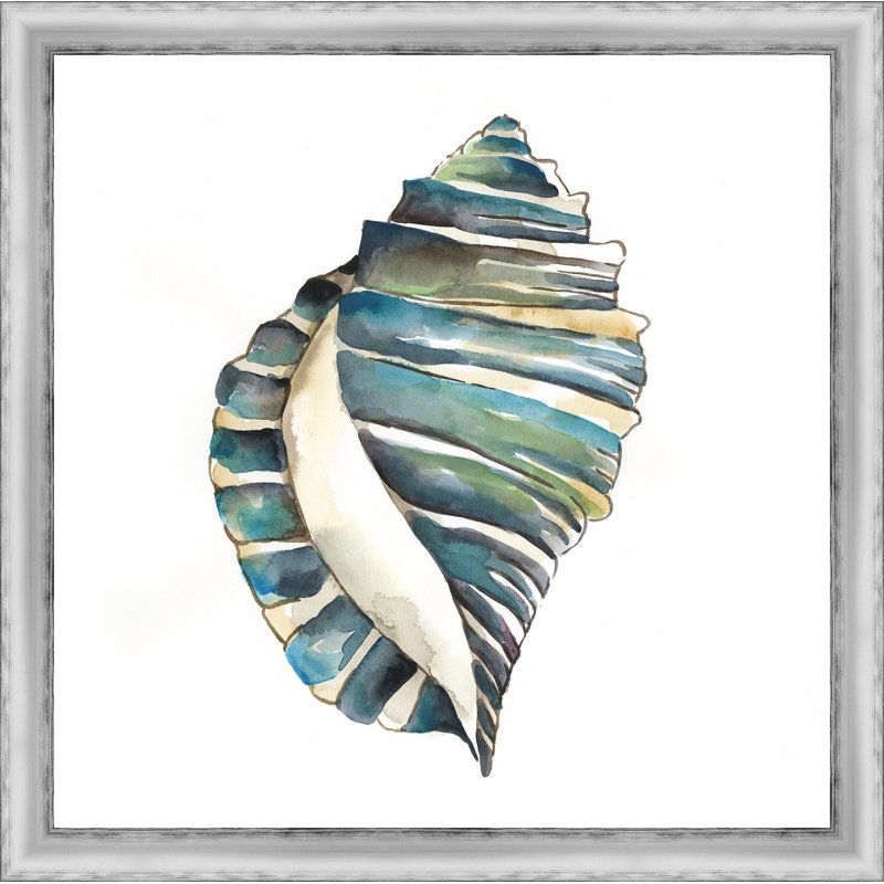 " Aquarelle Shells I "