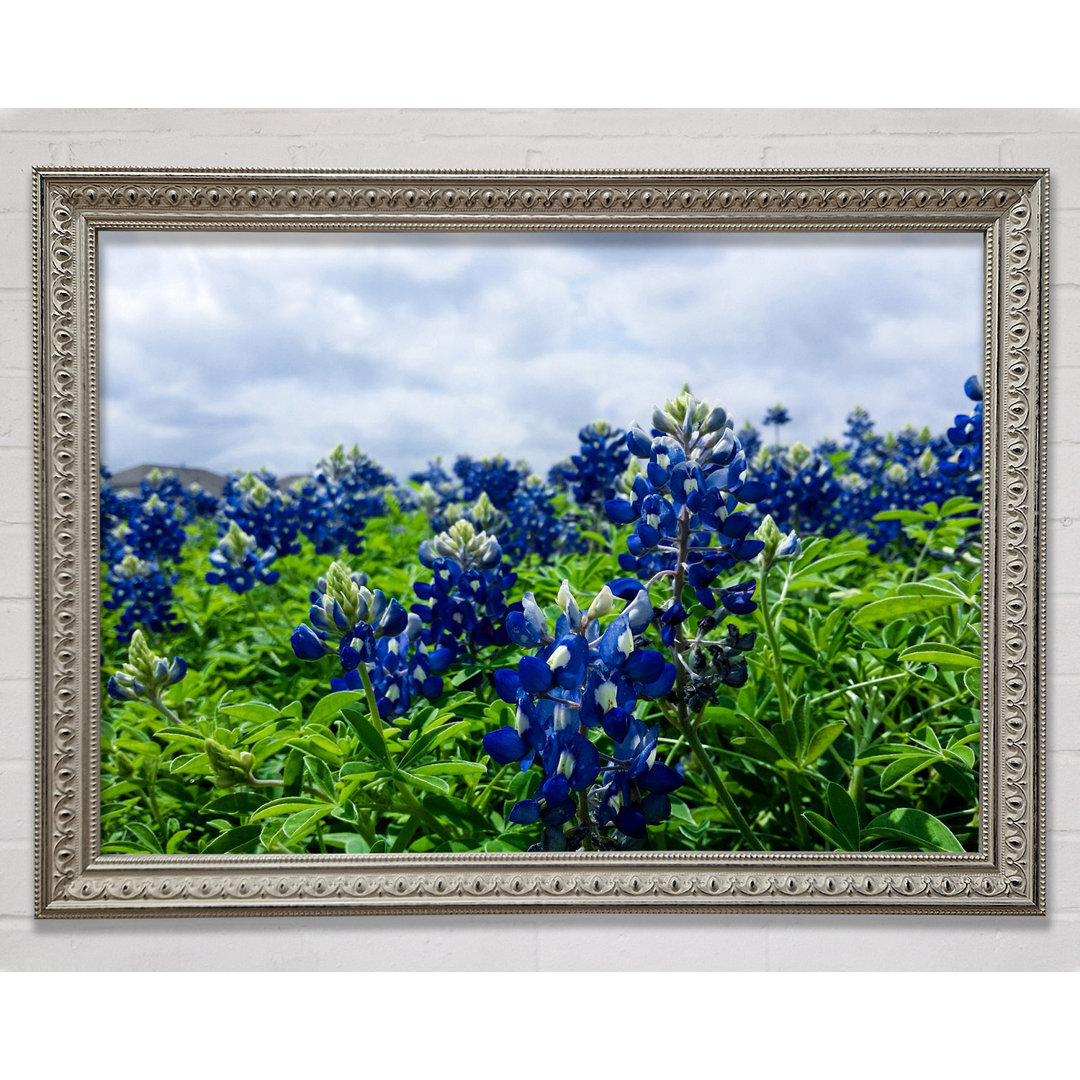 Blaue Blumen auf grünen Stängeln Gerahmter Druck