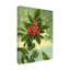 Art mural sur toile tendue - «Holly Berries I» de Grace Popp pour décoration de salon, de chambre à coucher ou de bureau - 24 x 32