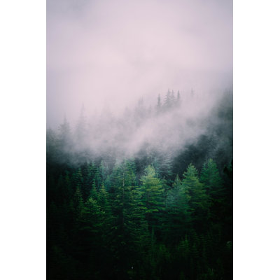 Foggy Mystic Mountains - Photographie sur toile tendue