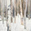 «Warm Winter Light I», reproduction d'impression sur toile tendue-27700223-72448916-72448917