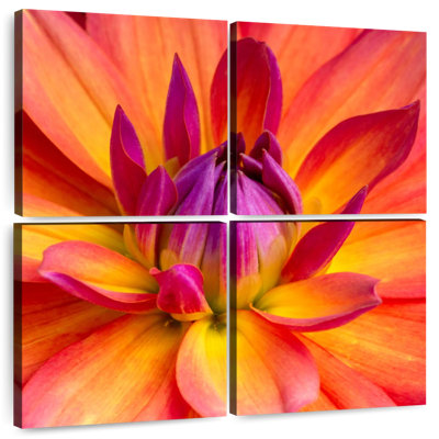 Harnek Blooming Dahlia
