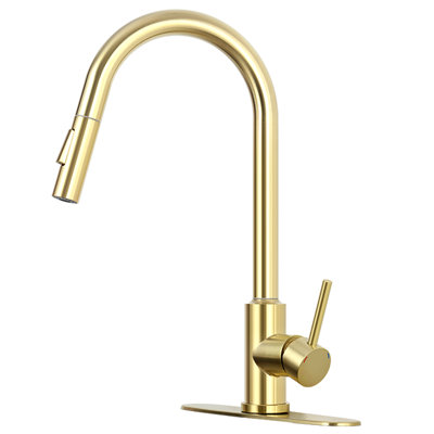 Robinet de cuisine à poignée simple Luxe