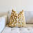 Myriad Velvet Throw Pillow Cover-101081512-101081510