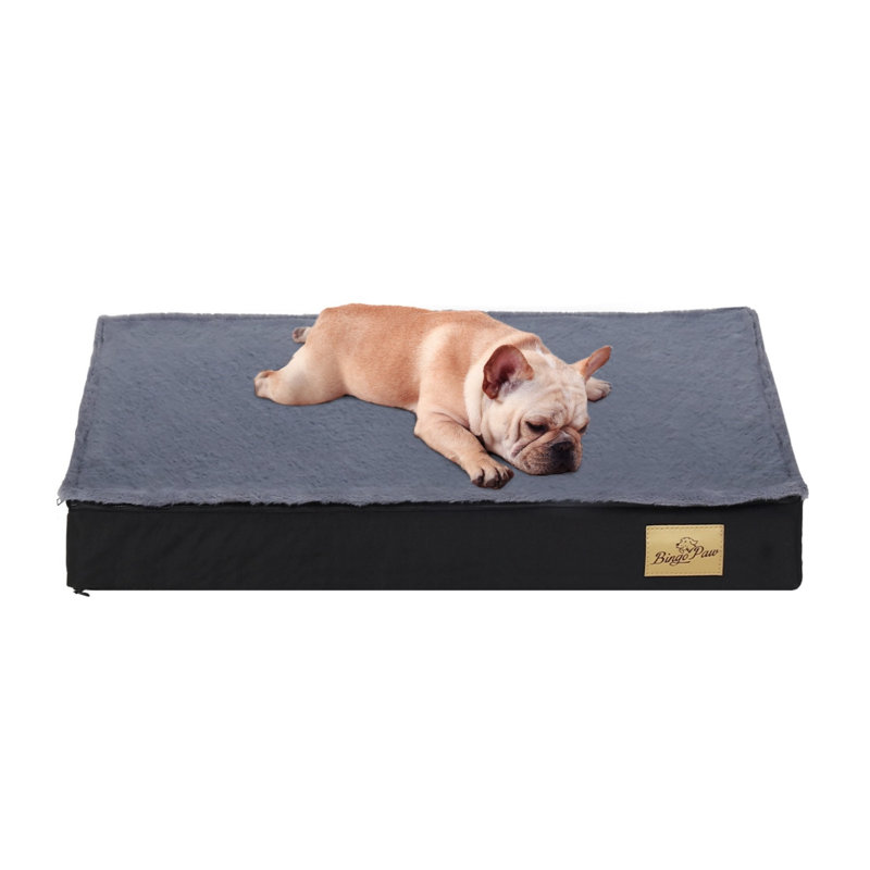 Orthopedic Pet Bed, 8cm H x 58cm W x 45cm D