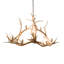 Rustic Lodge 10 - Light Chandelier-1210462333