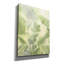  'Beneath The Canopy 1' by Grace Popp Canvas Wall Art, 12" x 16"