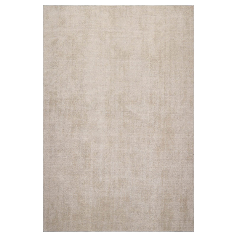 Tapis taupe touffeté à la main de style oriental texturé contemporain, Rectangle 9 pi x 12 pi
