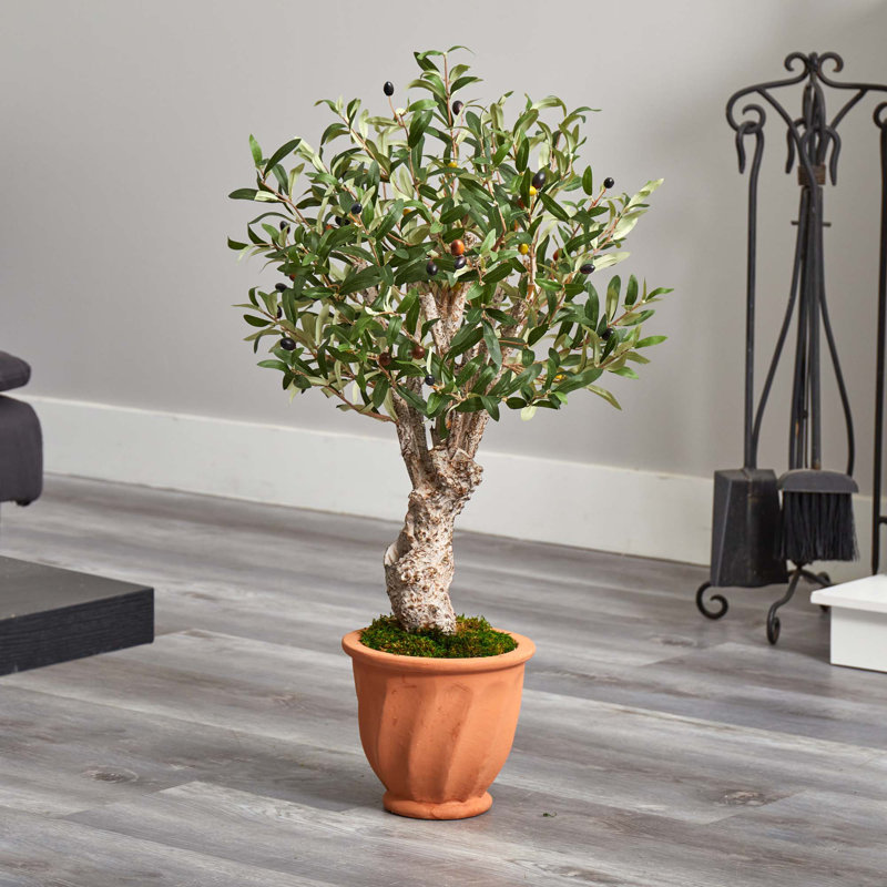 36 " H Faux Olive Tree in Ceramic Planter