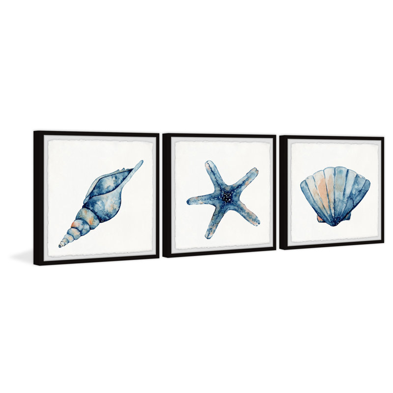 Erie Starfish and Shells 3 Piece Single Picture Frame Painting, 45cm H x 45cm W x 3.81cm D