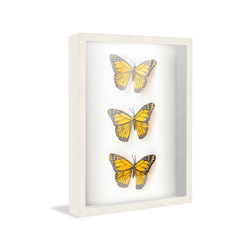 Betzayda Solid Wood Shadow Box Picture Frame, Black, 17" W x 20" H