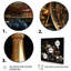 Champagne champagne champagne I - vin, décoration murale champagne-1769953520-1769953529